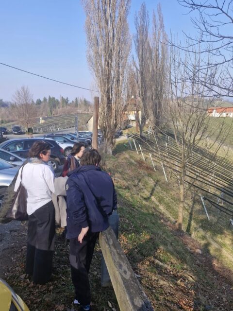 Экскурсия  выходного дня с заказчиками. Посетили самую большую в Австрии выставку шоколада (проходила в выставочном центре Граца с 6 по 8 марта ), две винодельни в Южной Штирии, один погребок 😁 👌🏻